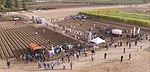 2022 FIRA USA ag robot field demos.jpg