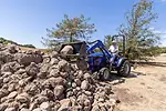 rocks (1).jpg