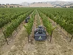 Agtonomy_Fleet_in_Vineyard_small.jpg