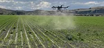 sprayer-drone-applies-herbicides.jpg