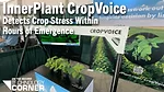 InnerPlant-CropVoice-Detects-Crop-Stress-Within-Hours-of-Emergence.png