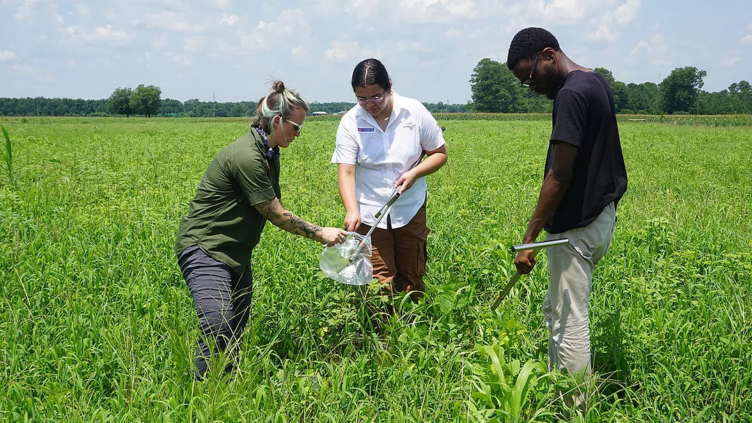 Soil-Sample 12302025.jpg