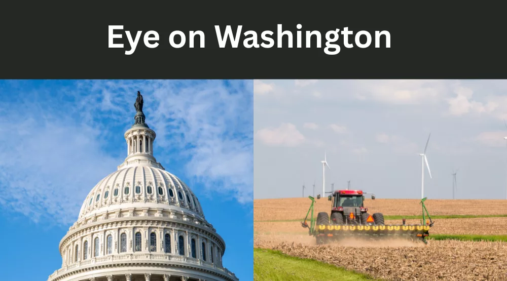 Eye on Washington.png