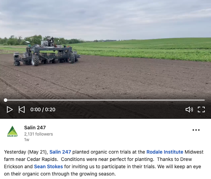  Salin 247 planted organic corn trials at the Rodale Institute Midwest farm