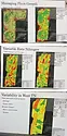 WILFNT_CTG_0525-2-700.jpg