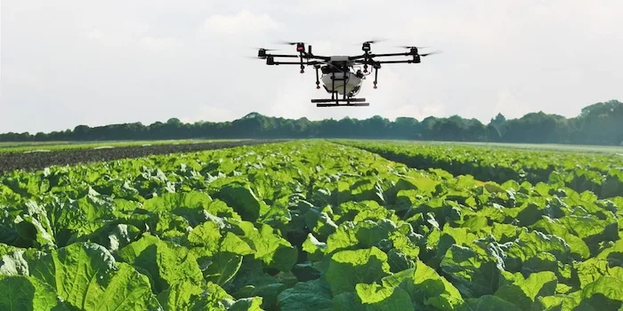 calyam-drone-2048x1024.jpg