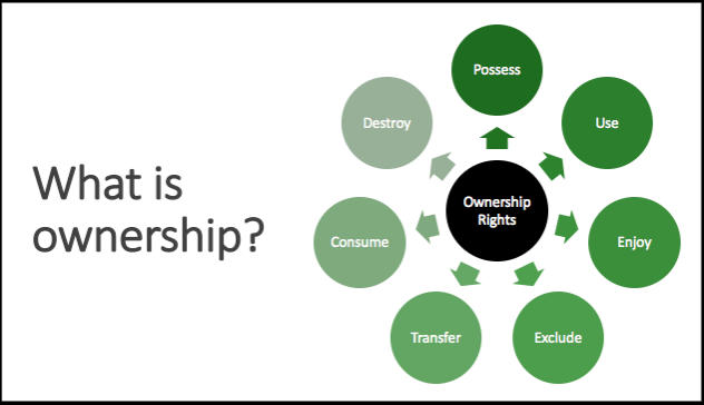 What is ownership?