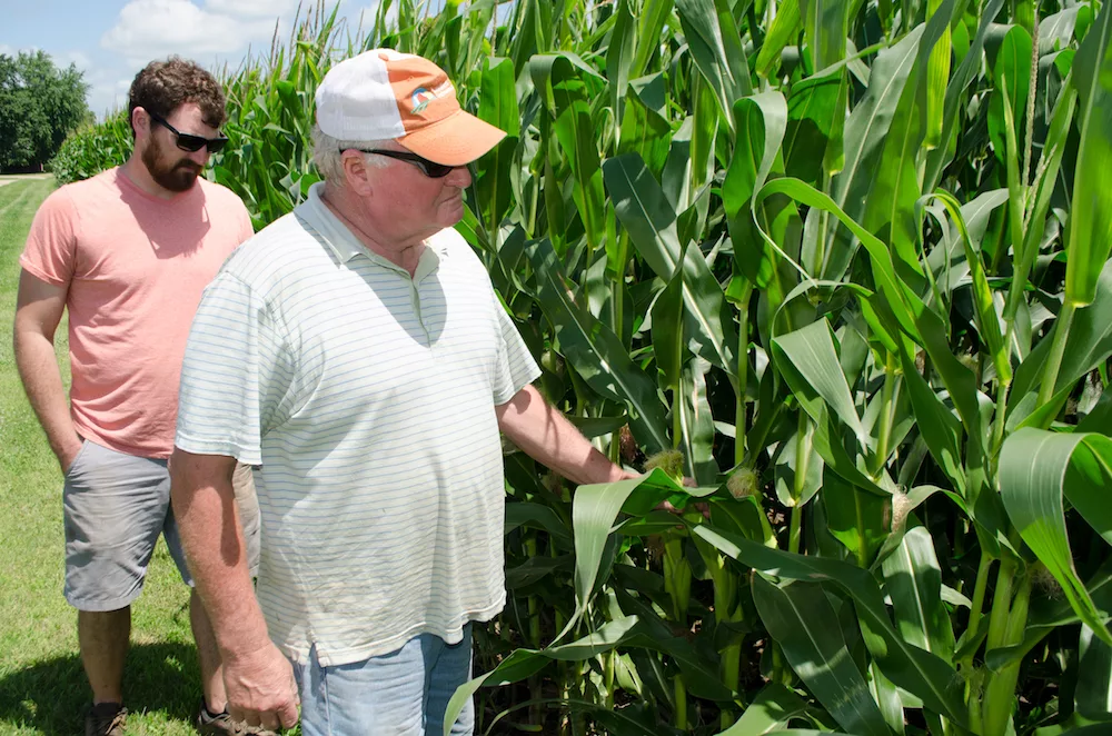 Jim Rapp Feature image