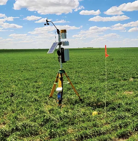 MOISTURE MONITOR in field