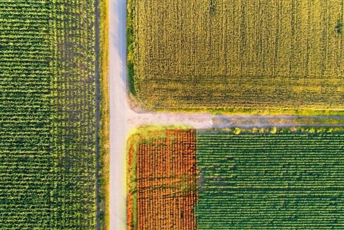 Crop Images 900x600.jpeg