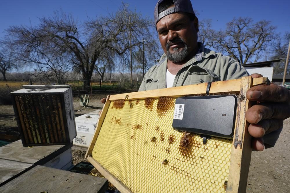 Beekeeper Helio Medina uses GPS to preventing beehive thefts.jpeg
