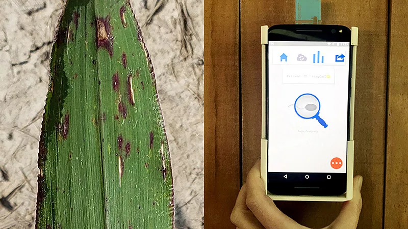 Purdue Ag-Celerator Fund Projects.jpg