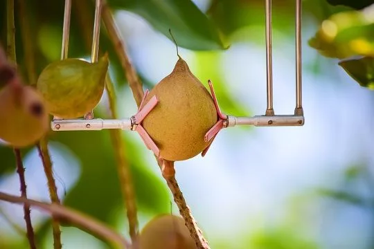 supplant sensor-6.jpeg