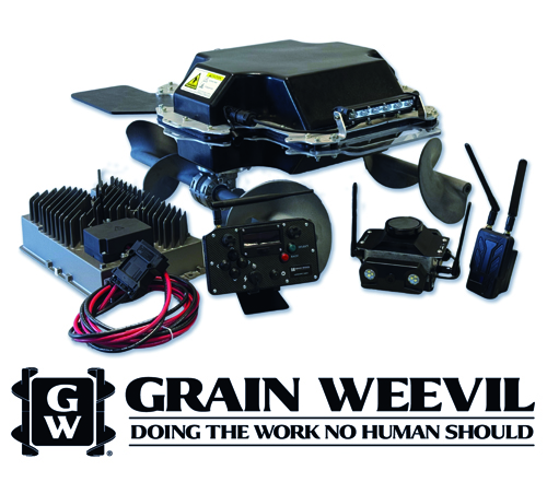 Grain-Wheevil