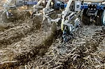FALL-STRIP-TILL-ACTION.jpg