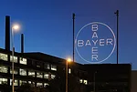 Bayer Bayer