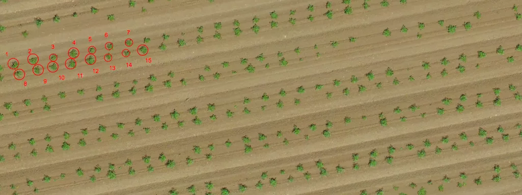 DroneDeploy