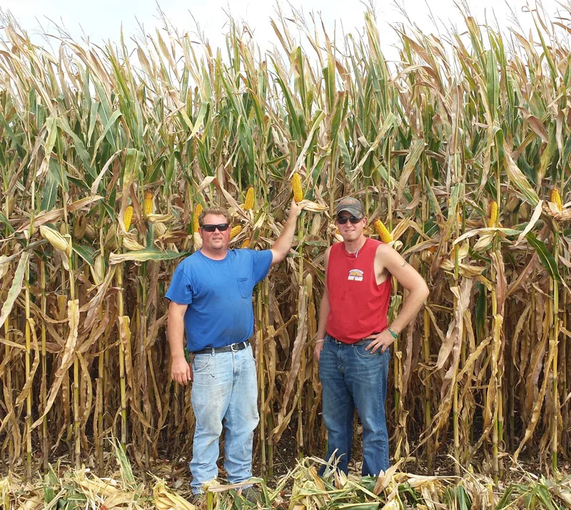 Bodenhausen head (left).jpg