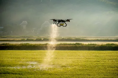XAG P100 Precision Agriculture Drone Spraying Rice Paddy.jpeg