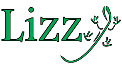 nizeX, Inc. Lizzy CRM Business Management System_0517 copy.png