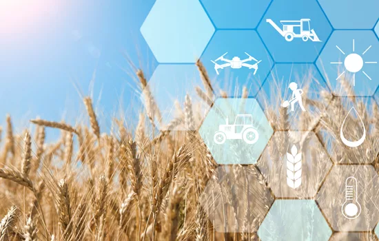why-precision-agriculture-is-the-key-to-ags-sustainable-future.jpg